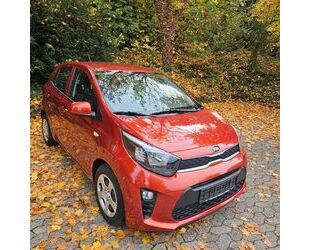 Kia Picanto Gebrauchtwagen