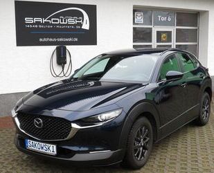 Mazda CX-30 Gebrauchtwagen