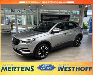 Opel Grandland (X) Gebrauchtwagen