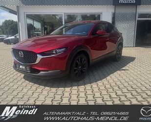 Mazda CX-30 Gebrauchtwagen
