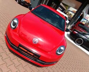 VW Beetle Gebrauchtwagen