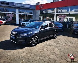 Kia XCeed Gebrauchtwagen