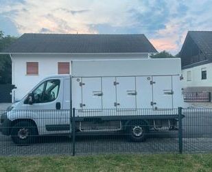 Fiat Ducato Gebrauchtwagen