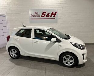 Kia Picanto Gebrauchtwagen