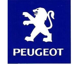 Peugeot 207 Gebrauchtwagen