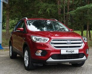Ford Kuga Gebrauchtwagen