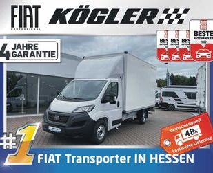 Fiat Ducato Gebrauchtwagen