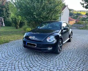 VW Beetle Gebrauchtwagen