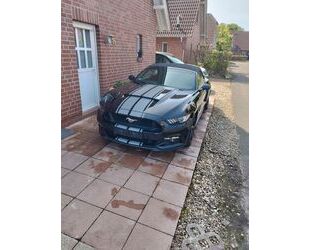 Ford Mustang Gebrauchtwagen