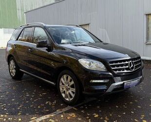 Mercedes-Benz ML 350 Gebrauchtwagen