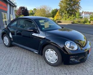 VW Beetle Gebrauchtwagen