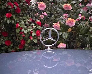 Mercedes-Benz CE 230 Gebrauchtwagen