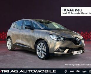Renault Scenic Gebrauchtwagen