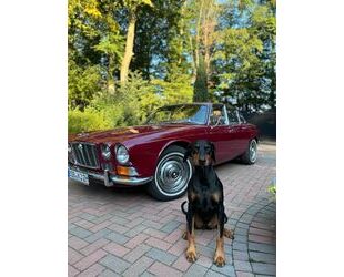 Jaguar XJ6 Gebrauchtwagen
