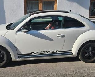 VW Beetle Gebrauchtwagen