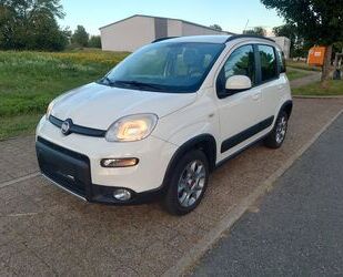 Fiat Panda Gebrauchtwagen