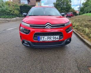 Citroen C4 Cactus Gebrauchtwagen