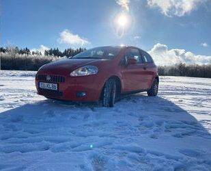 Fiat Punto Gebrauchtwagen