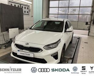 Kia ceed / Ceed Gebrauchtwagen