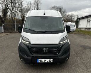 Fiat Ducato Gebrauchtwagen