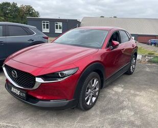 Mazda CX-30 Gebrauchtwagen