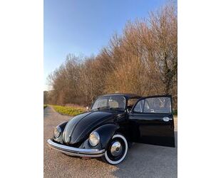VW Käfer Gebrauchtwagen