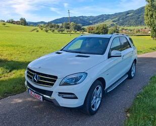 Mercedes-Benz ML 350 Gebrauchtwagen