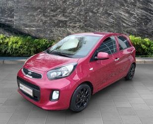 Kia Picanto Gebrauchtwagen