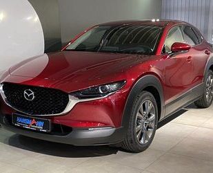 Mazda CX-30 Gebrauchtwagen