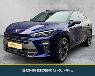 Cupra Terramar Gebrauchtwagen