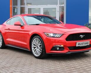 Citroen Mustang 