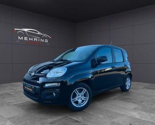 Fiat Panda Gebrauchtwagen