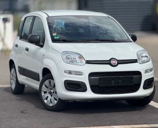 Fiat Panda Gebrauchtwagen