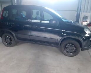 Fiat Panda Gebrauchtwagen