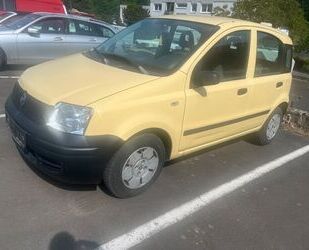 Fiat Panda Gebrauchtwagen