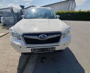 Subaru Forester Gebrauchtwagen