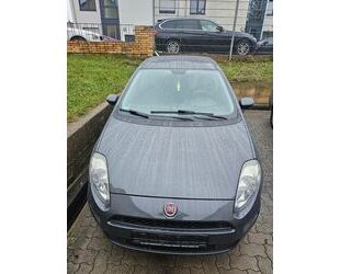 Fiat Punto Gebrauchtwagen