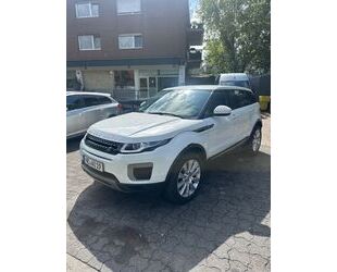 VW Andere 