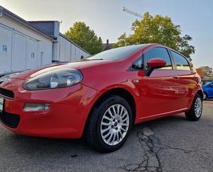 Fiat Punto Gebrauchtwagen