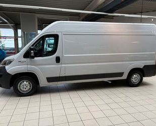 Fiat Ducato Gebrauchtwagen