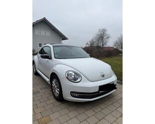 VW Beetle Gebrauchtwagen