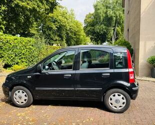 Fiat Panda Gebrauchtwagen