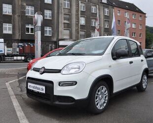 Fiat Panda Gebrauchtwagen