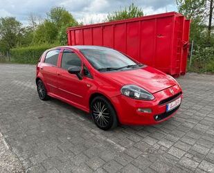 Fiat Punto Gebrauchtwagen