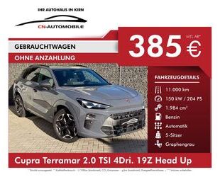 Cupra Terramar Gebrauchtwagen