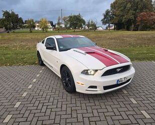 Ford Mustang Gebrauchtwagen