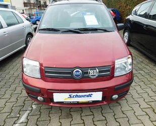 Fiat Panda Gebrauchtwagen