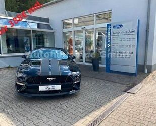 Renault Mustang 