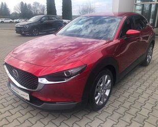 Mazda CX-30 Gebrauchtwagen