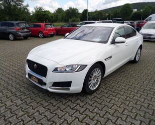 Jaguar XF Gebrauchtwagen